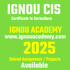 IGNOU CIS SOLVED ASSIGNMENT 2025